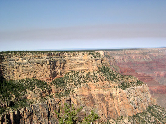 sediment
